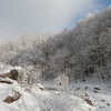 ４月の雪景色