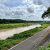 保険の見直しは大事だぜと思い知る6月