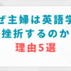 なぜ主婦は英語学習に挫折するのか？理由5選