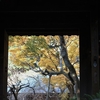 鎌倉獅瑞泉寺と周辺の紅葉・黄葉