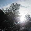 Summertime