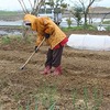 雨にも負けず