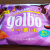 期間限定！ガルボ「ほっくり紫いも」言われて初めて「いも」だと気づくほどチョコに馴染んだ味( ＾∀＾)