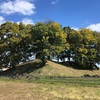 八幡二子塚古墳  高崎市八幡町