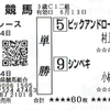 シンペキ VS ピックアンドロール再戦は、今度はピックアンドロール先着（４着）もシンペキは最下位９着と苦しい結果に