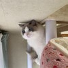 疲れが残っていたようなふくちゃん、そしてお風呂でのあまえ