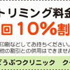 猫の慢性口内炎とｲﾝﾀｰﾌｪﾛﾝ療法