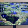 【Hisense 50インチ4Kテレビ】結局テレビ買っちゃいました。