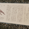 万葉歌碑を訪ねて（その４８４）―奈良市神功4丁目　万葉の小径（２０）―万葉集　巻八　一四七二
