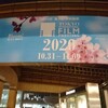 「見たい、見られたい」のラブロマンス～『写真の女』in 東京国際映画祭