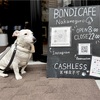 Bondi cafe 中目黒に遠出