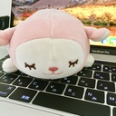 禁欲のプロ？