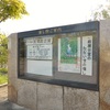 稲沢市荻須記念美術館 企画展「磯野宏夫-生命・緑の輝き-」展