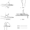 理学療法士　国家試験53a-3