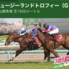 【 ハルの競馬予想  4/11.2020 】