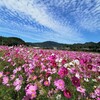 〜風の時代〜　自分の事を知ることから〜♡♡