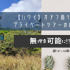 【ハワイ】オアフ島１日飲んだくれプライベートツアーの内容