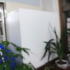 ただいま、変身中②（深澤）