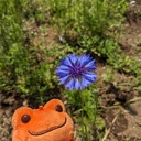 hannaribiyori3’s diary