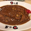 今日のワンカレー