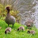 ＊ 英語力ゼロで海外へ ＊