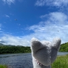 カムイポプニカ アーホイヤー～ 雨のち晴れの利尻島観光～