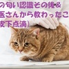 猫の匂い認識その後＆獣医さんから教わったこと（皮下点滴）