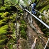 冬に入る加持ヶ峰遊山　冬木立