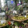 西宮北口 | 沖縄の海と森を切り取る！？阪急西宮ガーデンズの「SUMMER DISPLAY」に行ってきました！