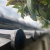 スマホでも一眼レフ並みの写真が撮れてしまうようになりました。