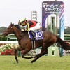 アーモンドアイ２番子とグランアレグリア初子入厩 2歳新馬頂上決戦