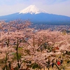 富士山と桜