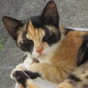 生かされてある日々