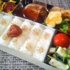 駅弁風ハンバーグ弁当。