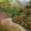 寸又峡の紅葉狩り　＆　大井川鉄道撮り鉄