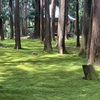 福井の苔寺～平泉寺白山神社～