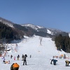 岐阜旅２
