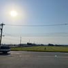 4月20日 定点観測地。