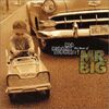 ブログ主想い出アルバム㉙MR.BIG「BIG, BIGGER, BIGGEST! The Best Of MR.BIG」