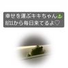 朝から雷雨
