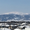 ３PNなど異常受精（多前核）対策の漢方薬と今週の漢方相談会のお知らせです。２０２１年１月２５日