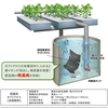 水耕栽培の根腐れ病を防除！「オクトクロス」