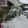 スゴい雪⛄❄