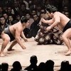 昔のお相撲を見て