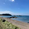 【海、海、海！】神奈川県立葉山公園レビュー