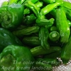 夏野菜・あれこれ・・