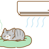 盛りすぎチャレンジげっと☆彡