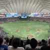 【日本のプロ野球とは？】英語3文で学ぶProfessional baseball in Japan