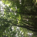 物理と魔法の狭間に