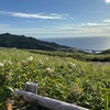 【北海道】⑨朝の花巡り散策